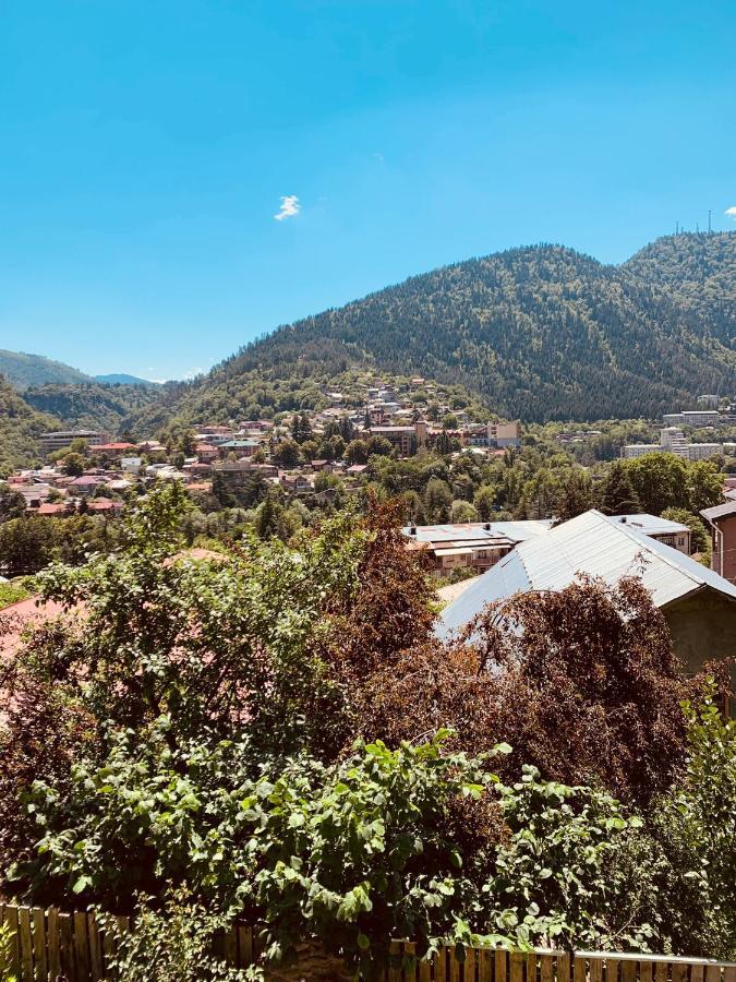 Ano'A Διαμέρισμα Borjomi Εξωτερικό φωτογραφία