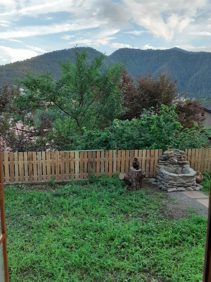 Ano'A Διαμέρισμα Borjomi Εξωτερικό φωτογραφία